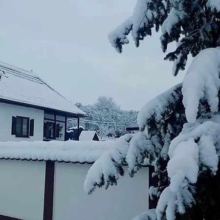 Boglarka Vendeghaz * Morareni